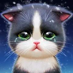 KittenMatch