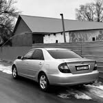 dauchik_
