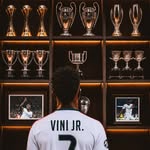 vinijr