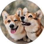 corgi_yasha