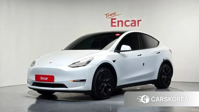 Tesla Model Y 2021 Белый из Кореи