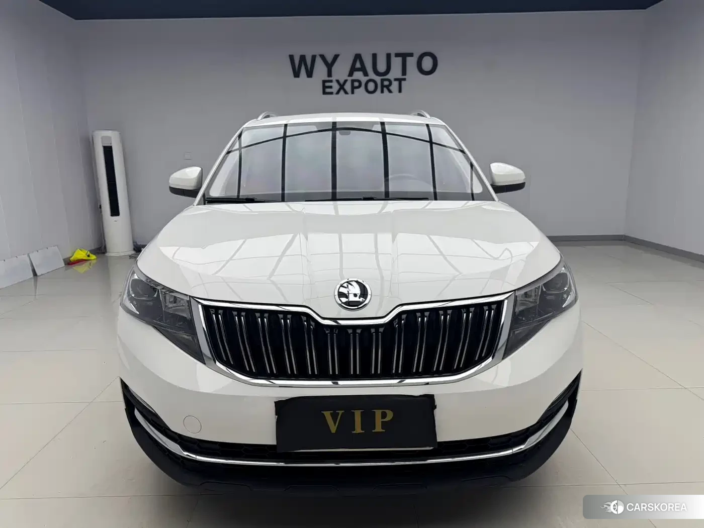 Skoda Kamiq 2021 Белый из Китая