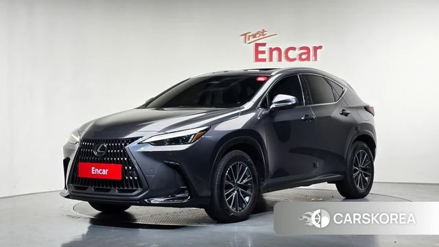 Lexus NX450h + 2nd generation 2023 Серый из Кореи