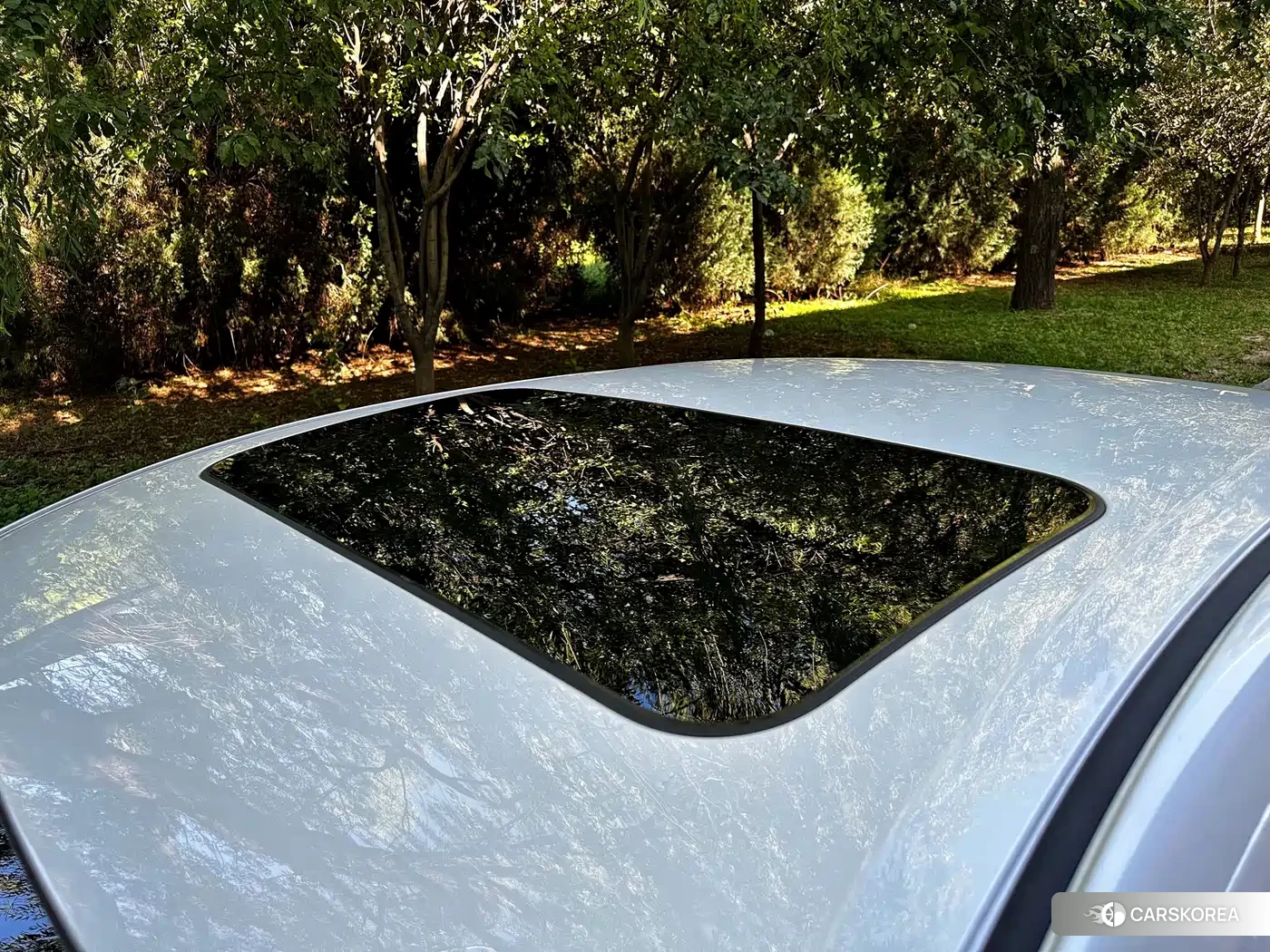 Nissan Sylphy 2025 Белый из Китая