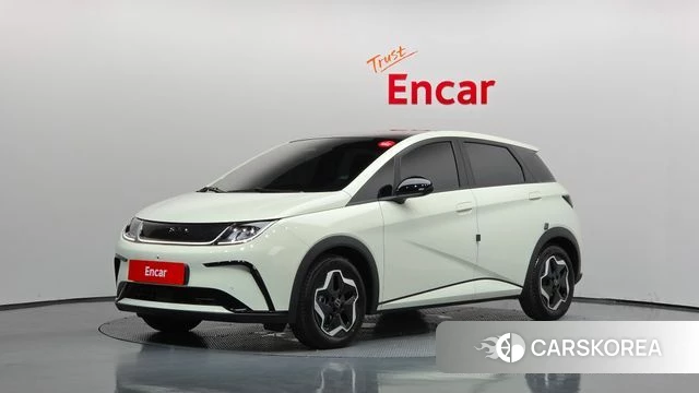 BYD Dolphin 2026 Жемчужный цвет из Кореи