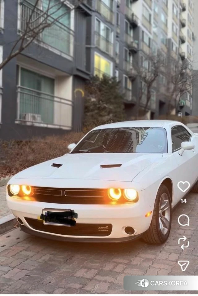 Dodge Challenger 2019 Белый из Кореи