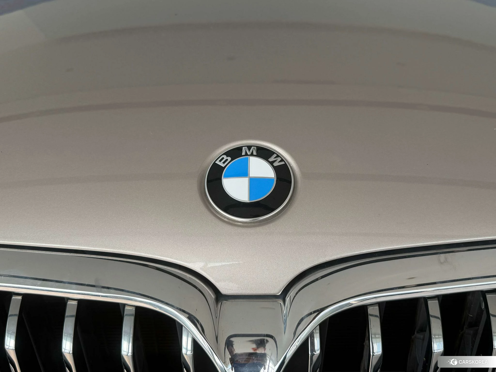 BMW 5 series 2020 Шампань из Китая