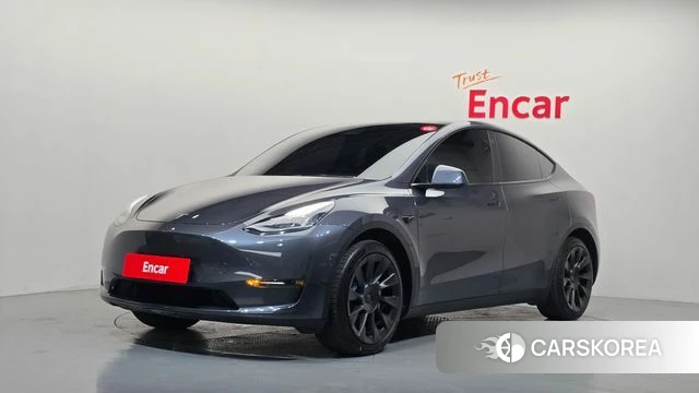 Tesla Model Y 2021 Серый из Кореи