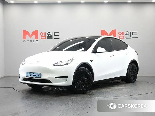 Tesla Model Y 2023 Белый из Кореи