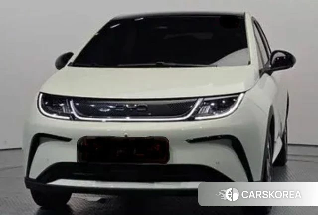 BYD Dolphin 2026 Жемчужный цвет из Кореи