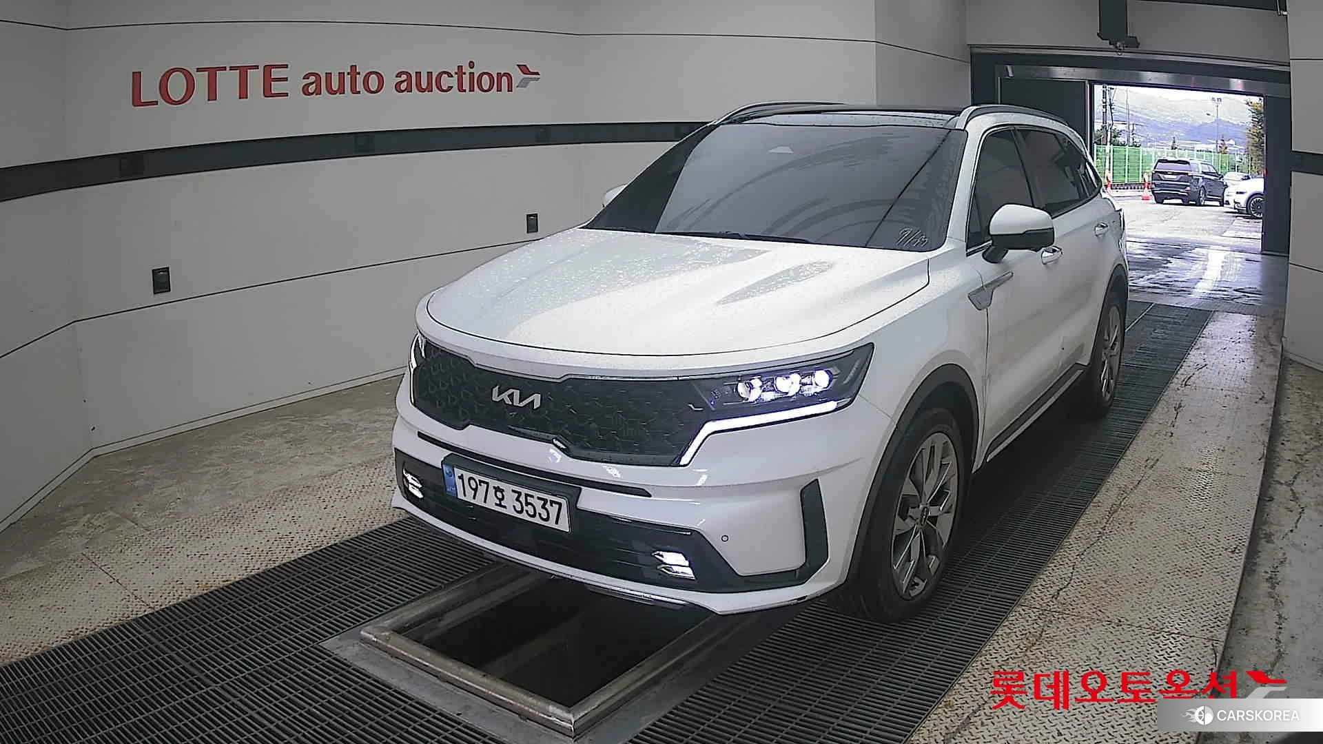 Kia Sorento 2023 Белый из Кореи