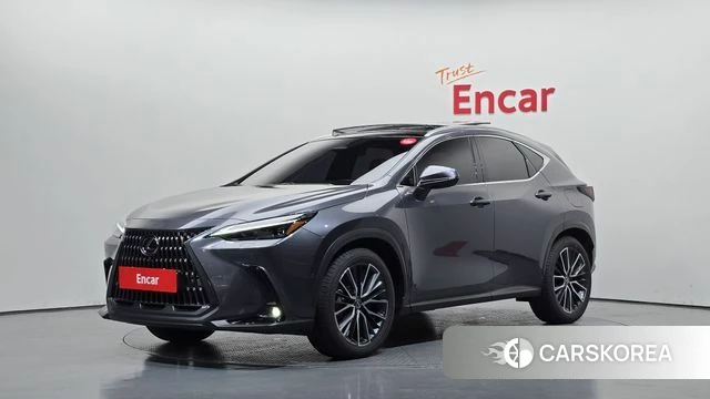 Lexus NX350h Second generation 2025 Серый из Кореи