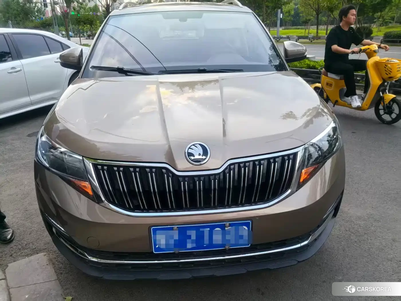 Skoda Kamiq 2023 Champagne/brown из Китая