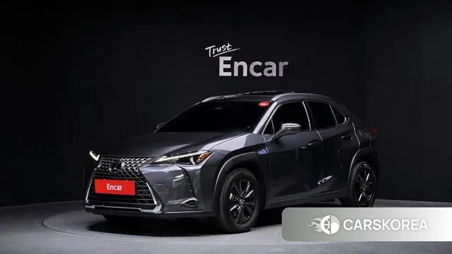 Lexus UX300h 2024 Серый из Кореи