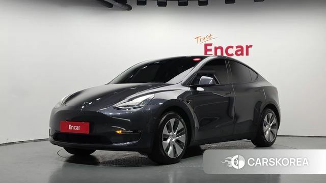 Tesla Model Y 2021 Серый из Кореи