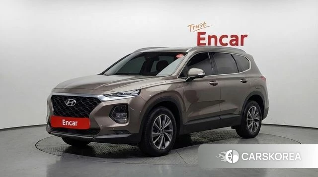 Hyundai Santa Fe TM 2018 Цвет тростника из Кореи
