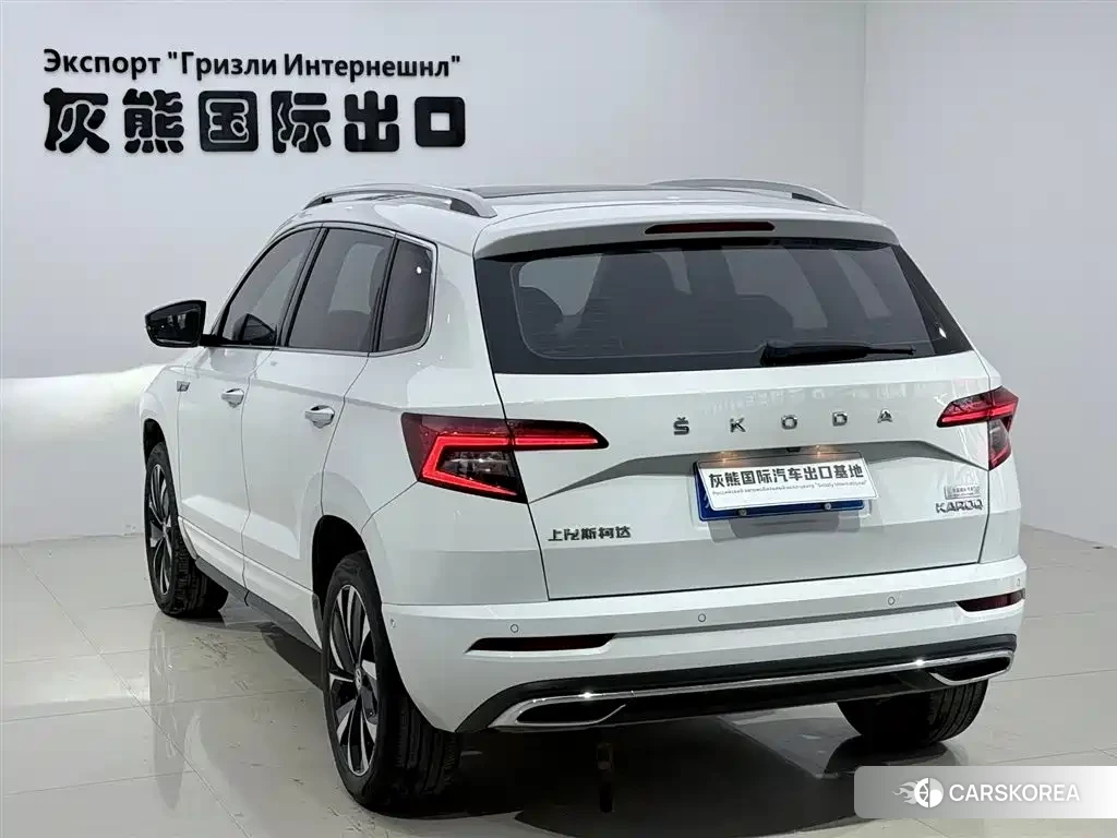 Skoda Karoq 2023 Белый из Китая