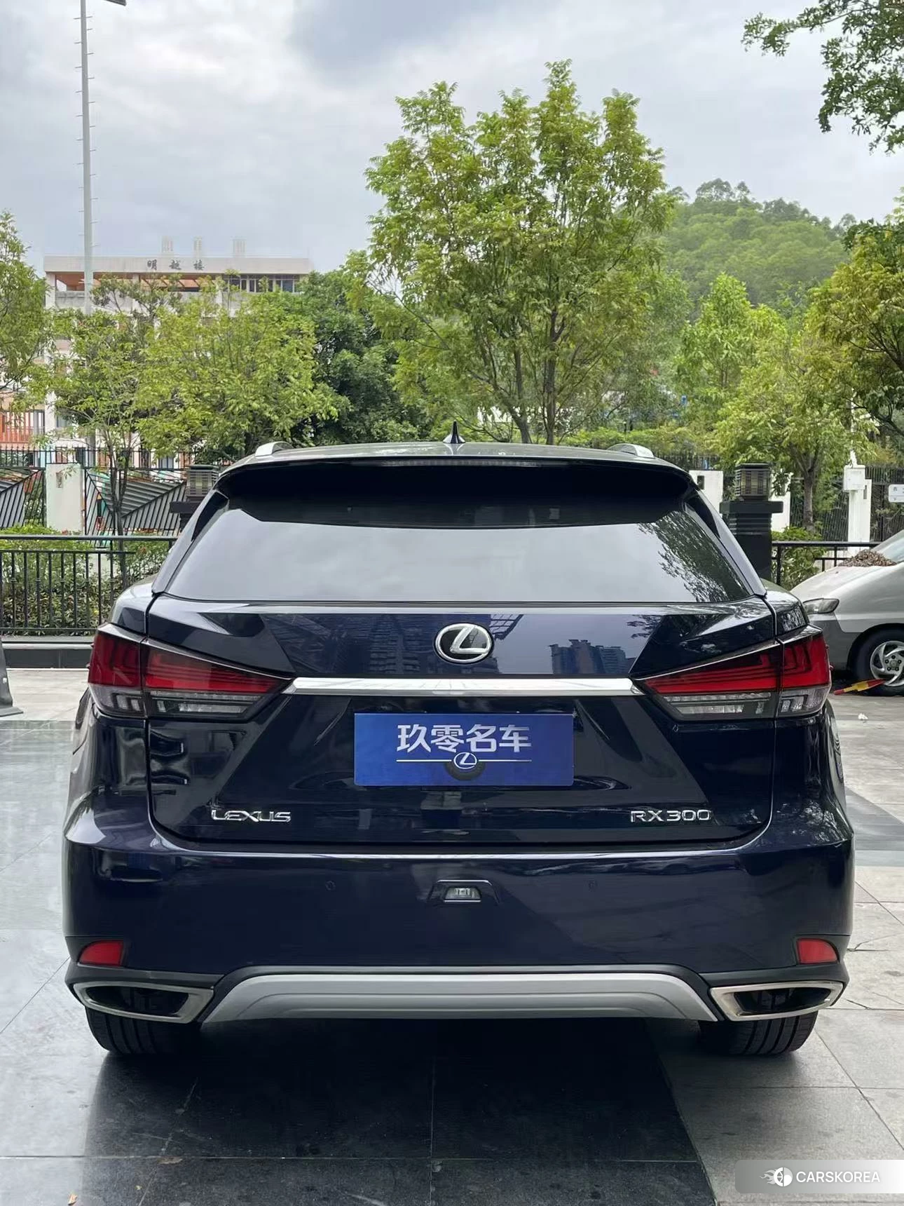 Lexus RX 2020 Синий из Китая