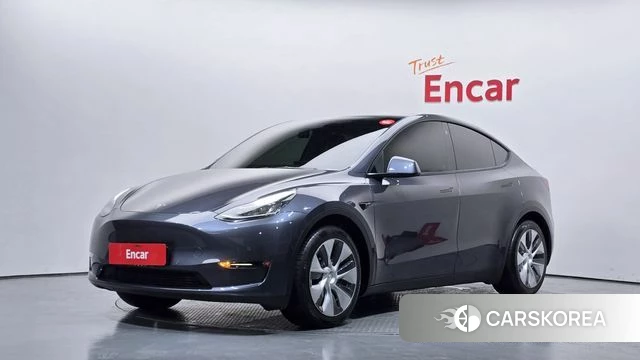 Tesla Model Y 2021 Серый из Кореи