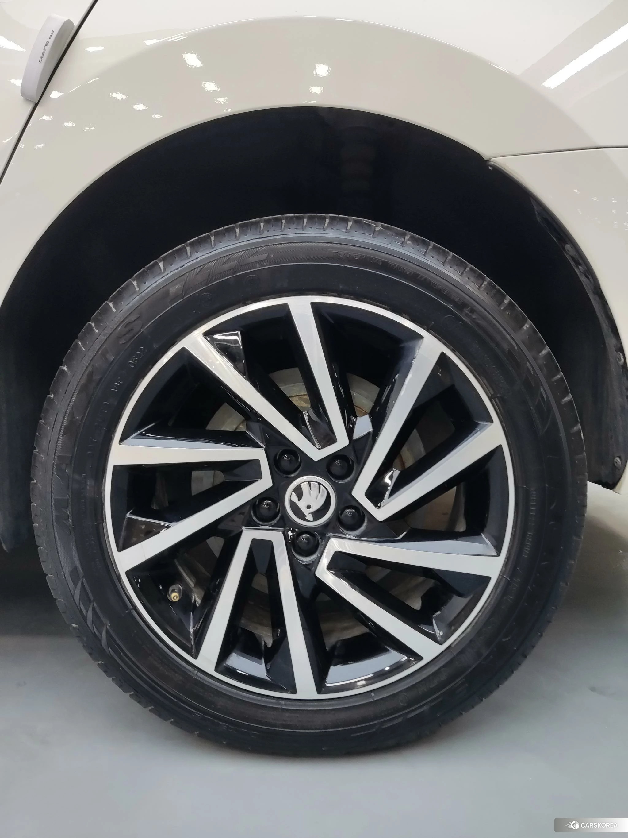 Skoda Rapid 2022 Белый из Китая