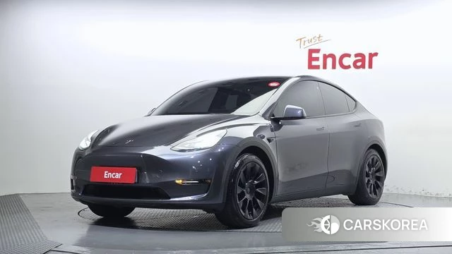 Tesla Model Y 2021 Серый из Кореи