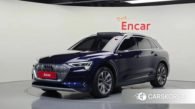 Audi e-Tron 2021 Синий из Кореи