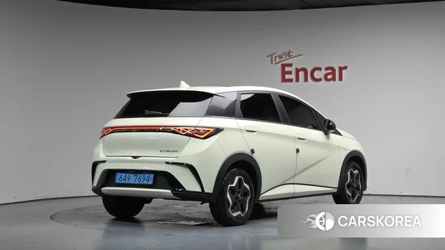 BYD Dolphin 2026 Жемчужный цвет из Кореи
