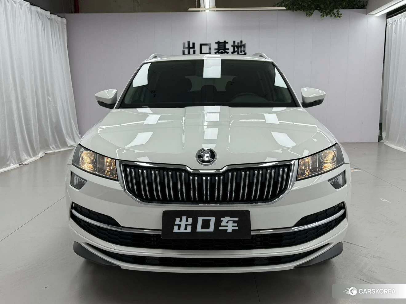 Skoda Karoq 2020 Белый из Китая