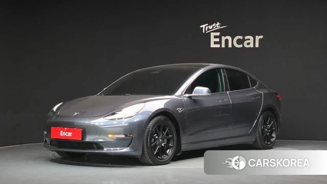 Tesla Model 3 2020 Серый из Кореи