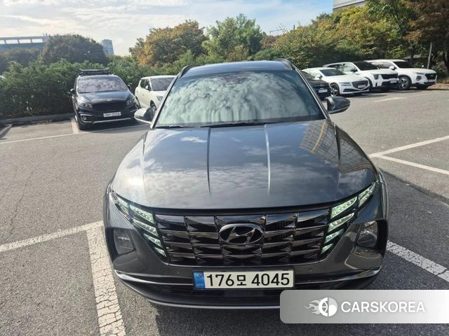 Hyundai Tucson (NX4) 2020 Цвет тростника из Кореи