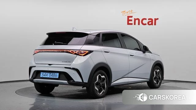 BYD Dolphin 2026 Белый из Кореи