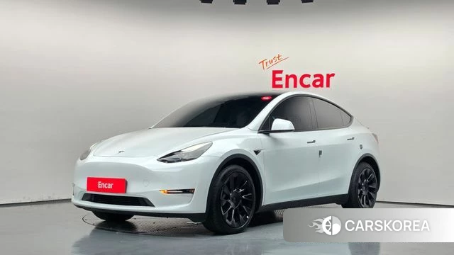 Tesla Model Y 2023 Белый из Кореи