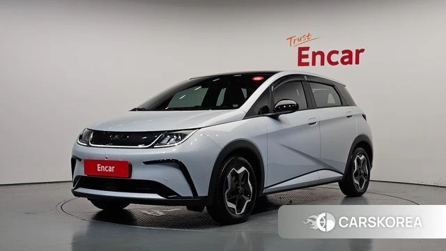 BYD Dolphin 2026 Серебристо-серый из Кореи
