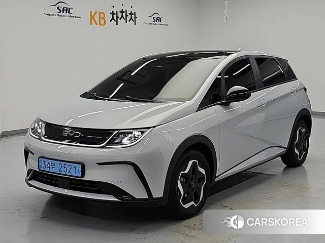 BYD Dolphin 2026 Белый из Кореи