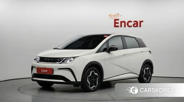 BYD Dolphin 2026 Жемчужный цвет из Кореи
