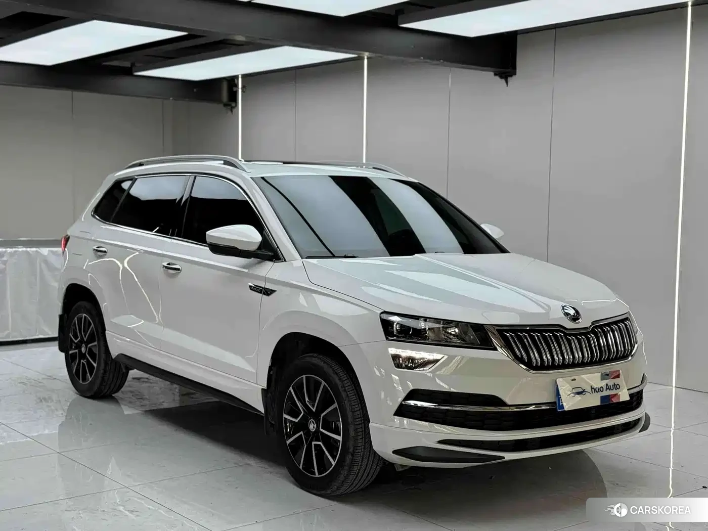 Skoda Karoq 2023 Белый из Китая