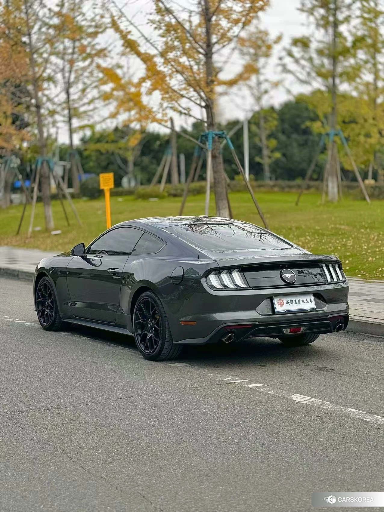 Ford Mustang 2020 Темно-серый из Китая