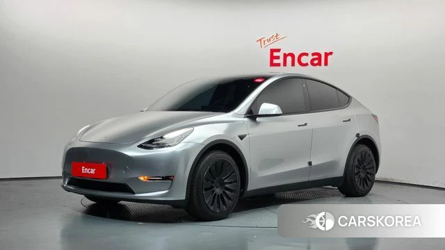 Tesla Model Y 2022 Серебряный из Кореи