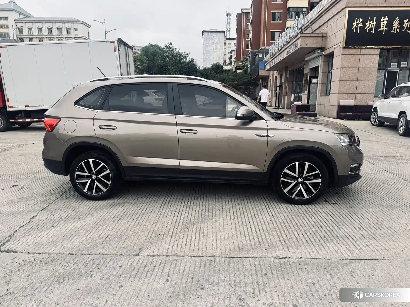 Skoda Kamiq 2023 Champagne/brown из Китая
