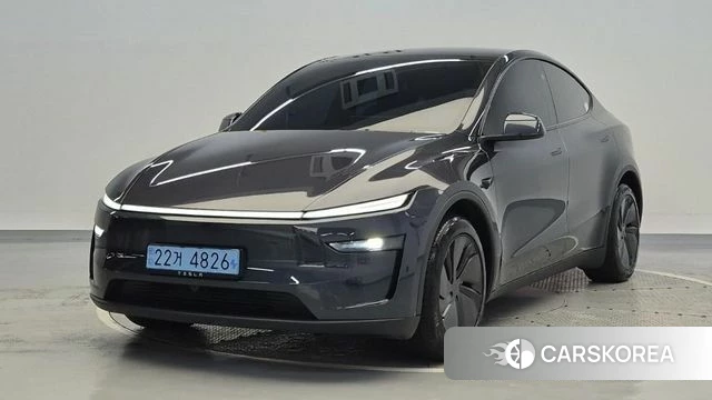 Tesla Model Y 2026 Серый из Кореи