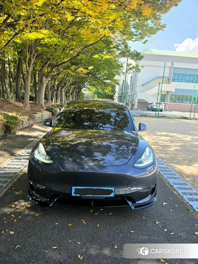 Tesla Model Y 2021 Серый из Кореи