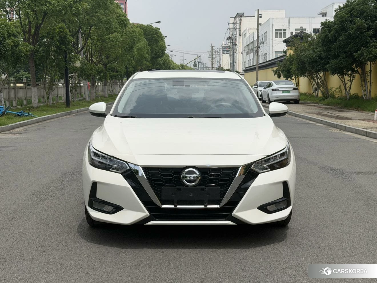 Nissan Sylphy 2020 Белый из Китая