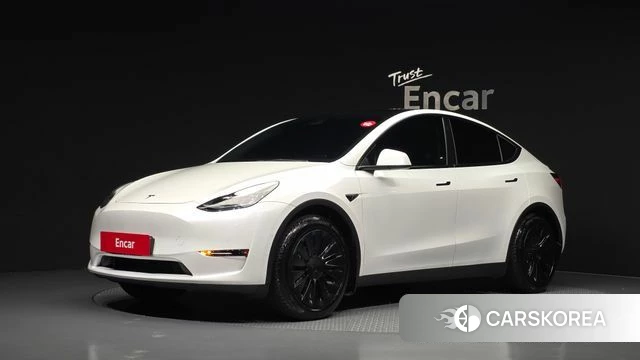 Tesla Model Y 2021 Белый из Кореи