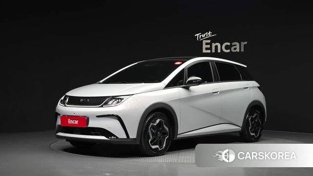 BYD Dolphin 2026 Светло-серебряный цвет из Кореи