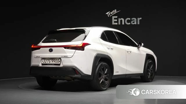 Lexus UX250h 2019 Белый из Кореи