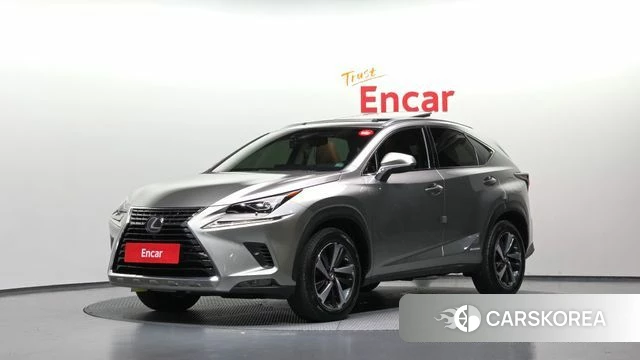 Lexus NX300h 2019 Песочный из Кореи