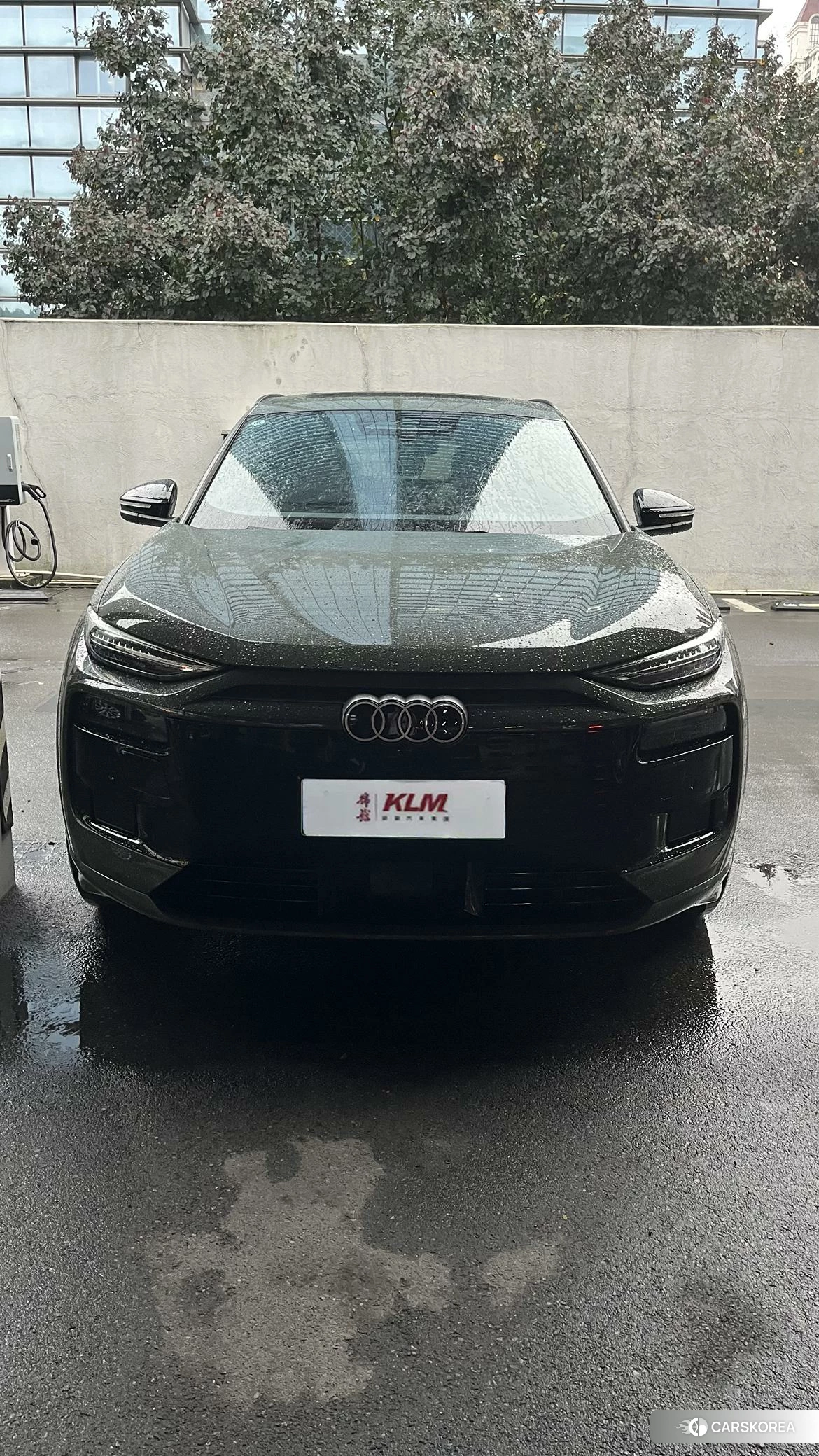 Audi Q6L 2025 Зеленый из Китая