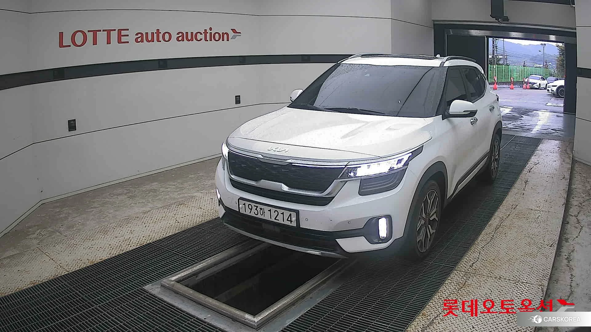 Kia Seltos 2022 Snow White Pearl из Кореи