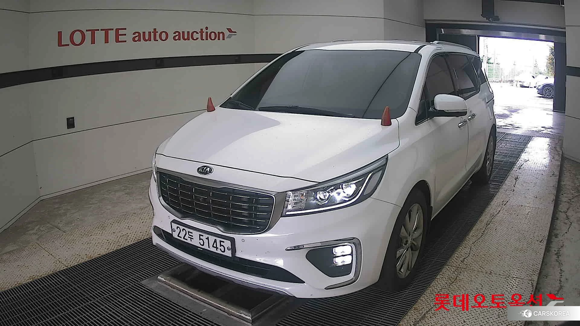 Kia Carnival Limousine 2019 Белый из Кореи