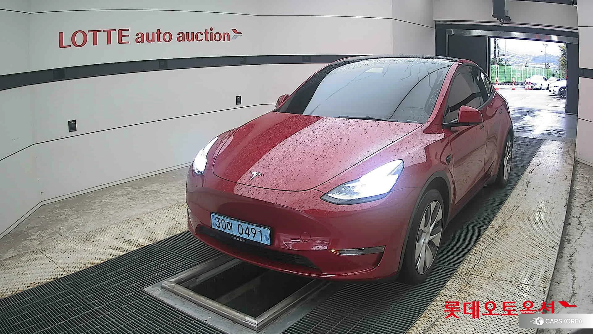 Tesla Model Y Standard Range id 4984745 из Кореи